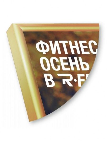 Рамка Нельсон 02, 50х70,  золото глянец анодир. в Москве - картинка, изображение, фото