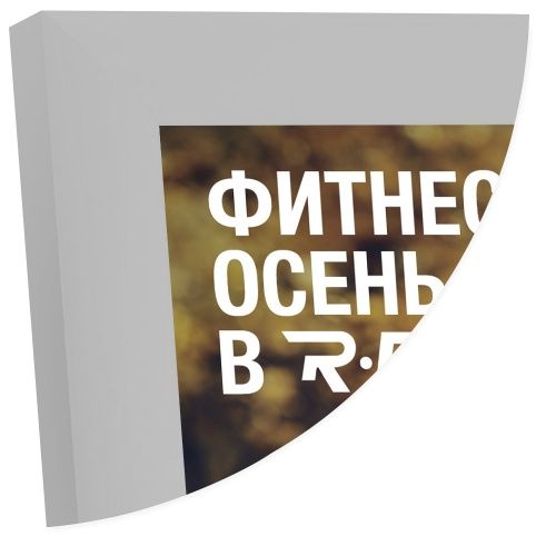 Рамка Нельсон 62, А1, серебро матовое анодир. в Москве - картинка, изображение, фото
